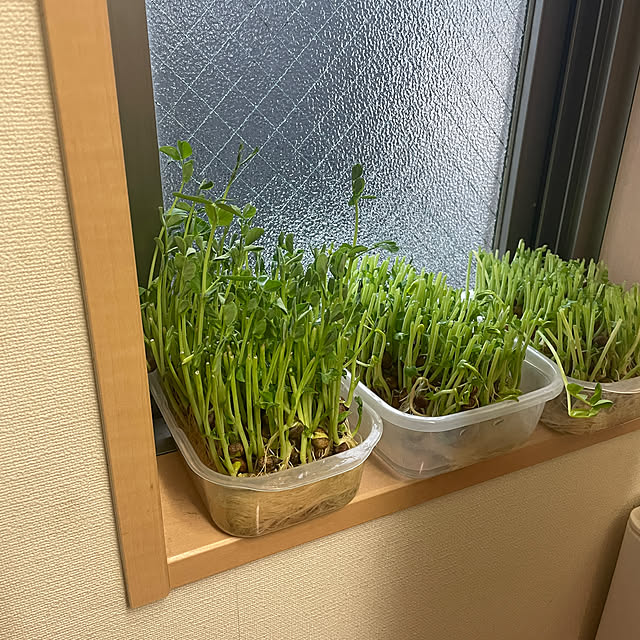 Sawaraさんの実例写真