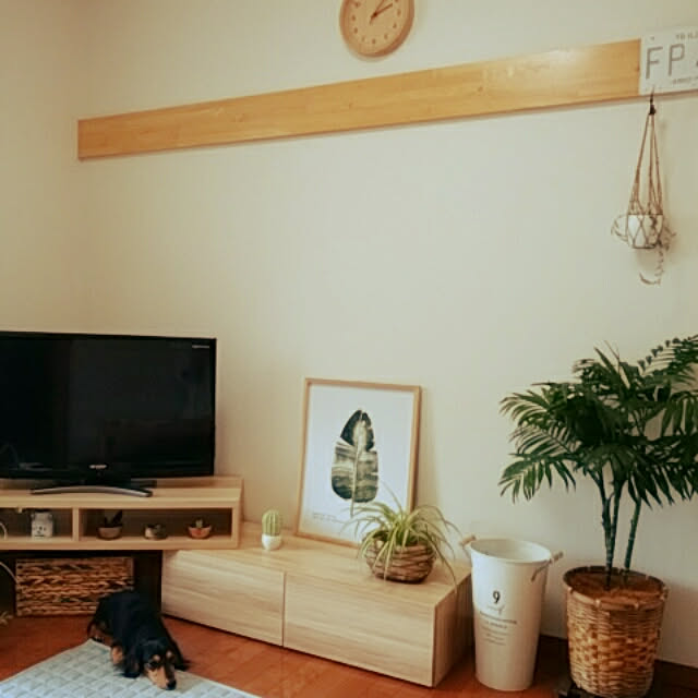 reonさんの実例写真