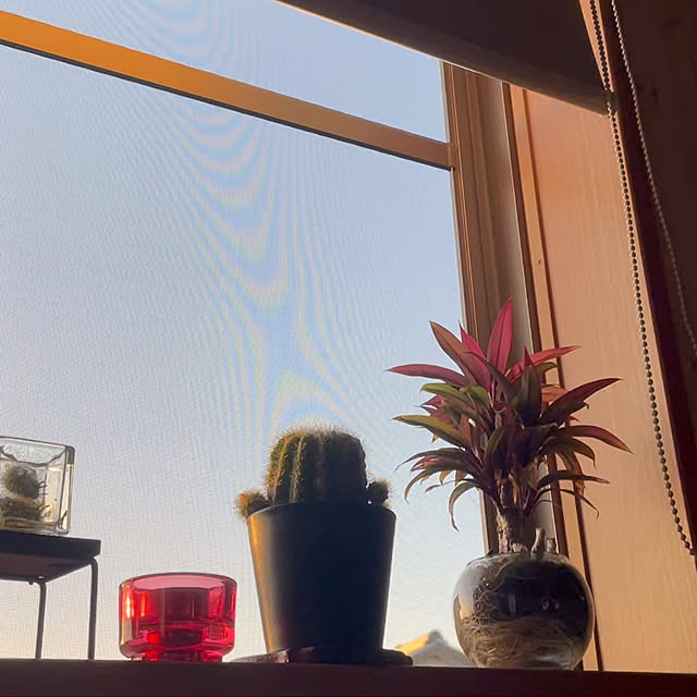 sinyou1120さんの実例写真