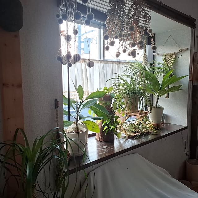 midoriさんの部屋