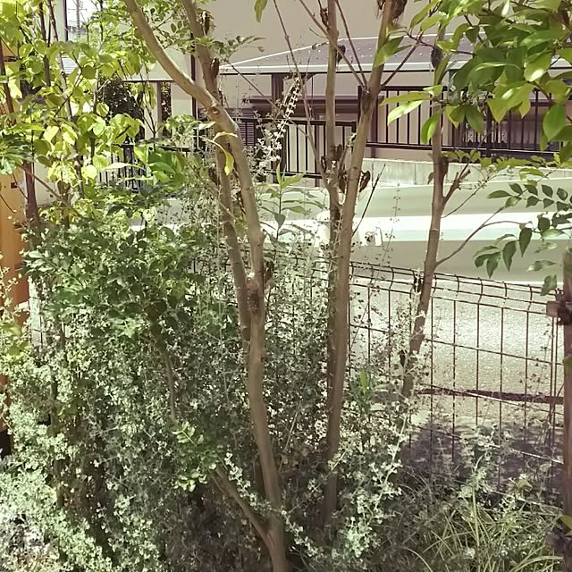 enacoさんの実例写真
