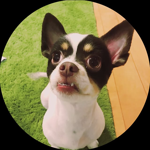 usagi223さんの実例写真