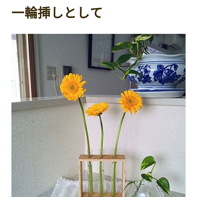 Renさんの実例写真