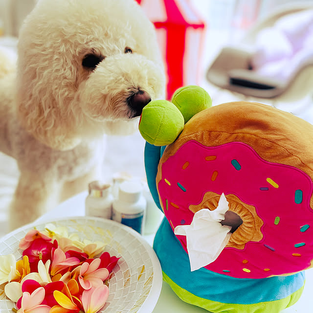 nackeyさんの実例写真
