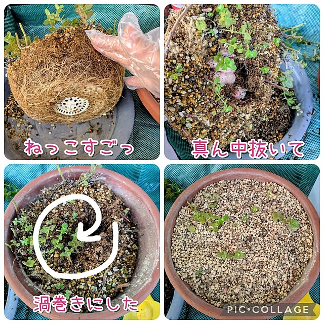 mi-saさんの部屋