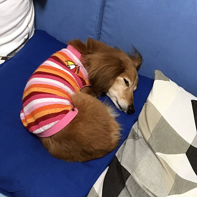 asako_geekさんの実例写真