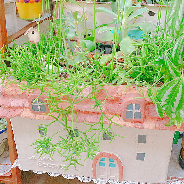 Hanakaさんの部屋