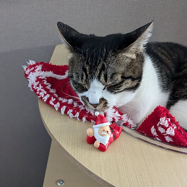 nrさんの部屋
