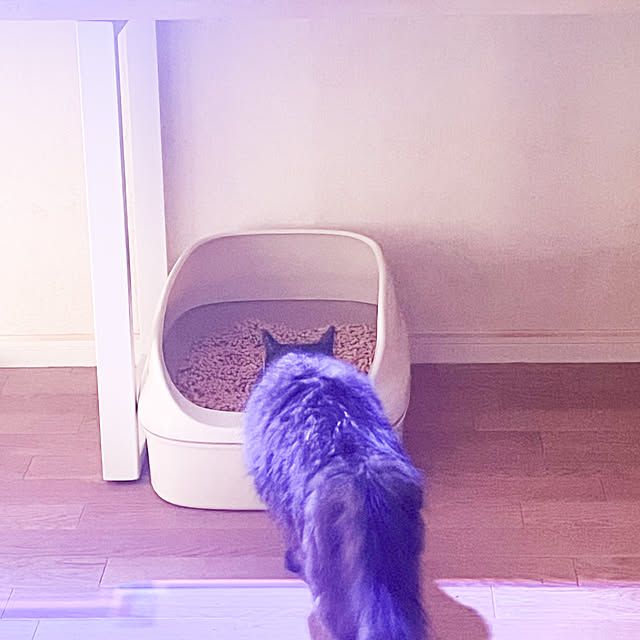 SIMPLEさんの実例写真