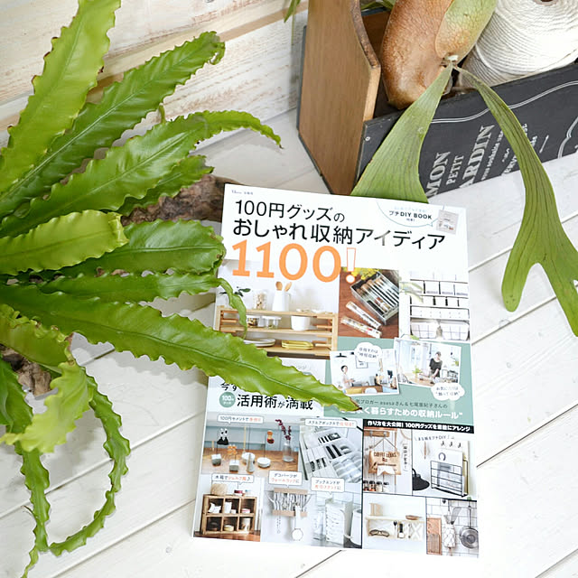 部屋全体/DIY女子/DIY/Boho Style/coastal style...などのインテリア実例 - 2019-04-22 12:26:19
