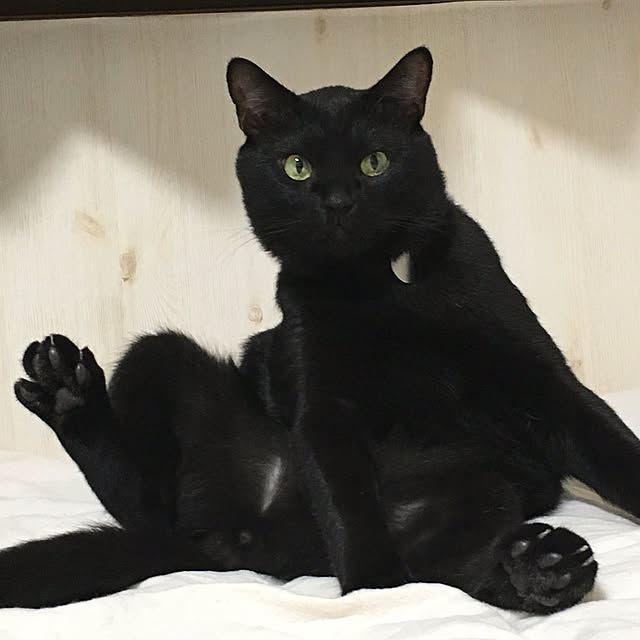 jasmine03さんの実例写真