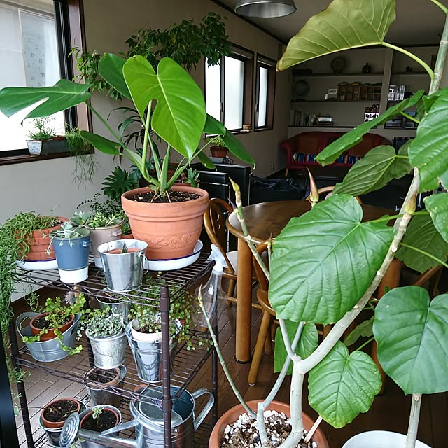Kさんの実例写真