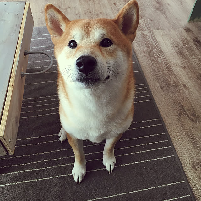 diez_taraさんの実例写真
