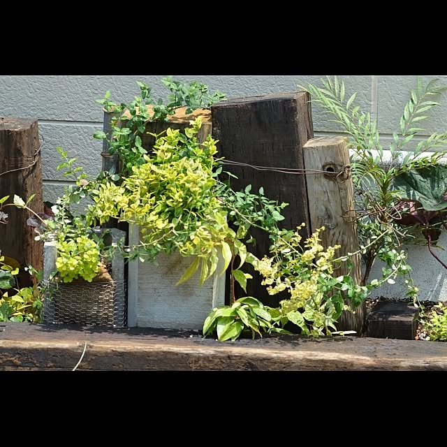 GreenWorksさんの実例写真