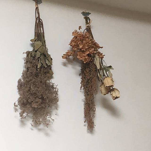 cccさんの実例写真