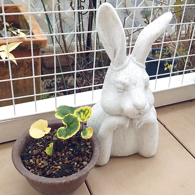 Bienvenueさんの実例写真