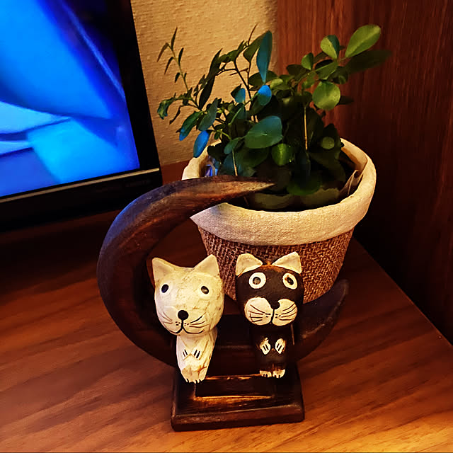 masaさんの実例写真