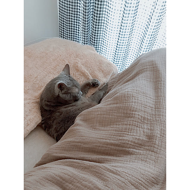 hiさんの実例写真