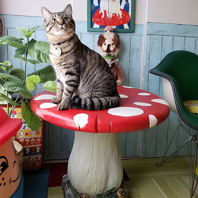 ayucchiさんの実例写真