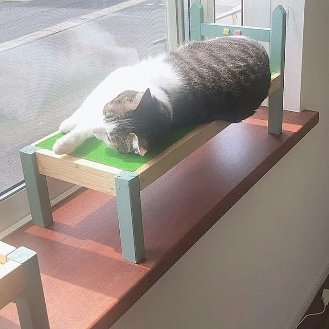 mikoichiさんの実例写真