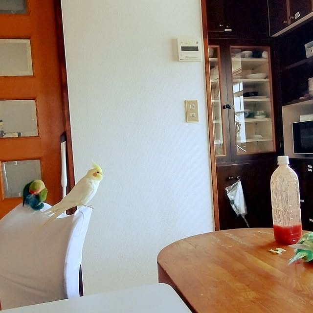 toratanさんの実例写真