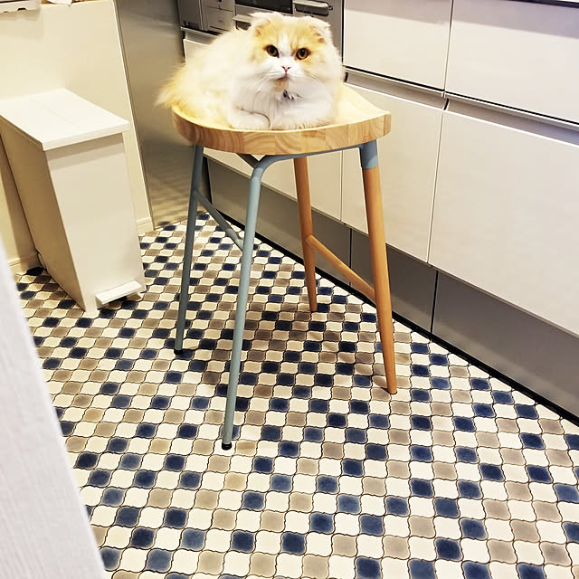 nonさんの実例写真