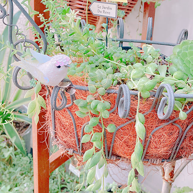 Hanakaさんの部屋
