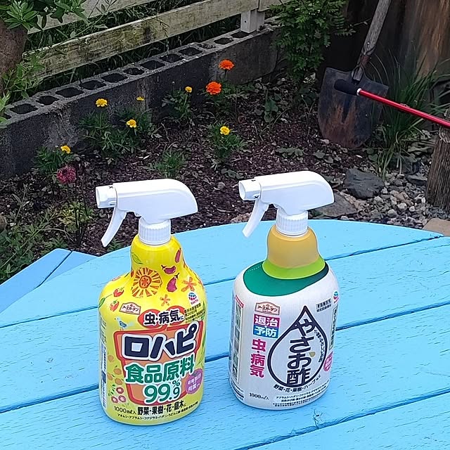 boston5757さんの実例写真
