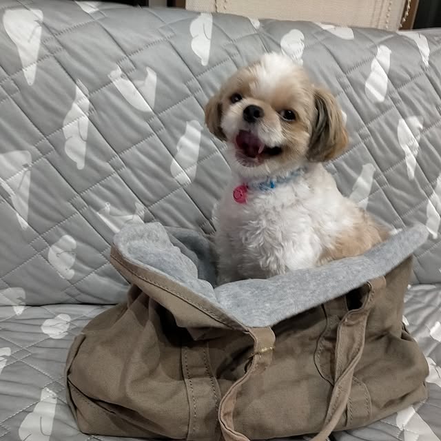 maryさんの部屋