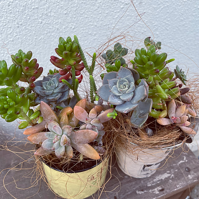 taka17cafeさんの実例写真