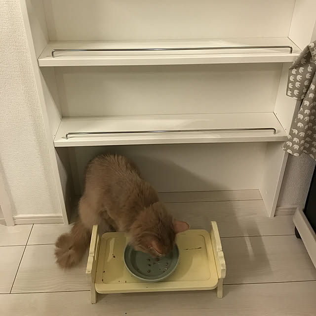 mofucatさんの実例写真