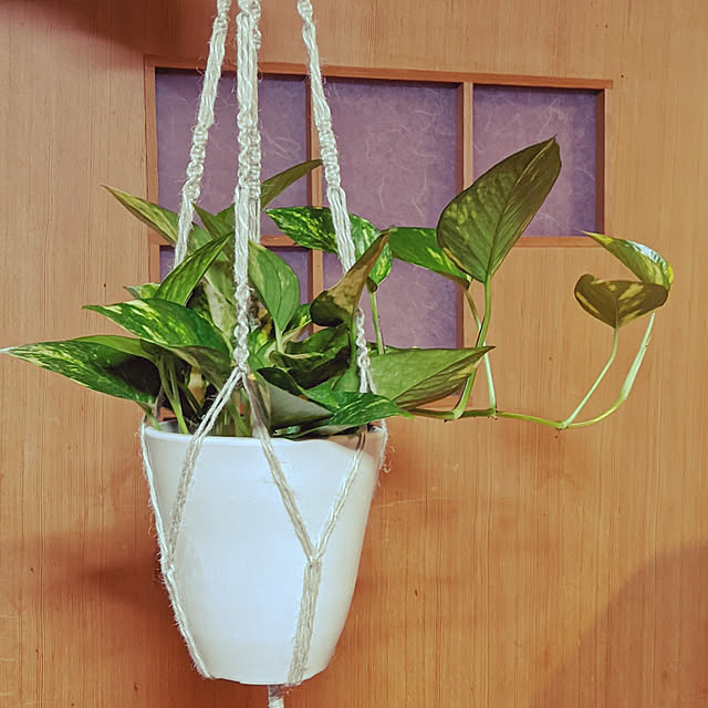 mango-sさんの部屋