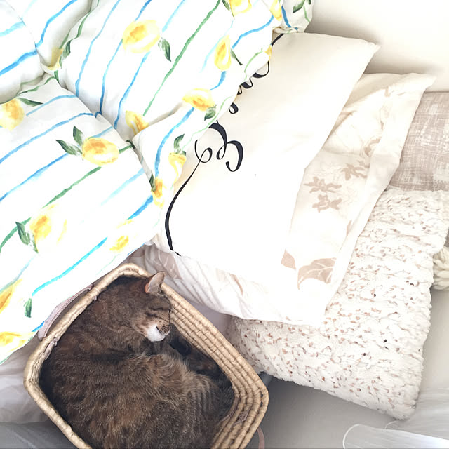 Yurieさんの実例写真