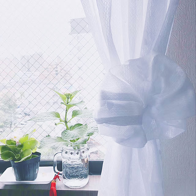DIY/観葉植物/リビングのインテリア実例 - 2020-06-21 17:08:18