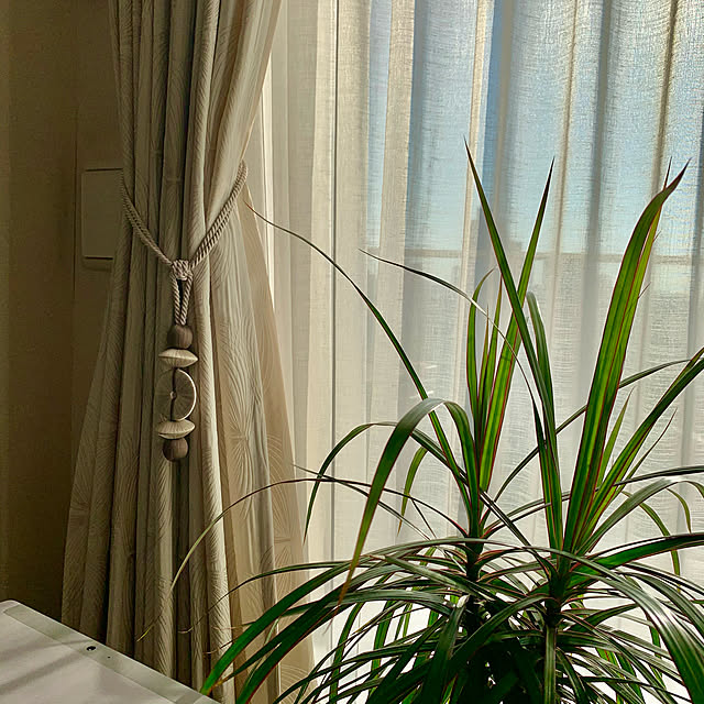 sonoさんの実例写真