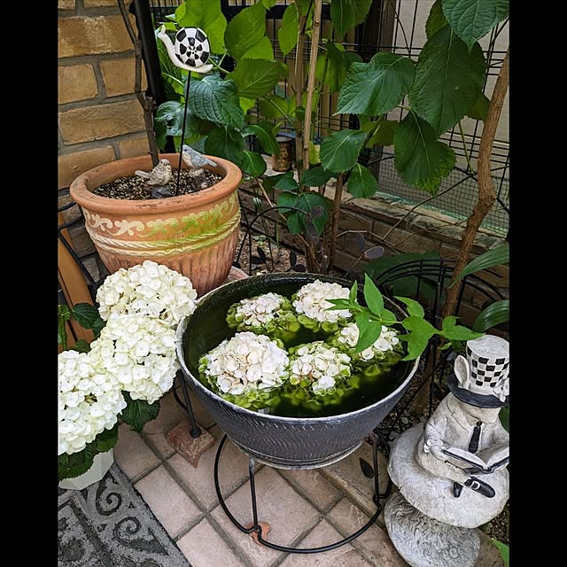 aromameさんの実例写真