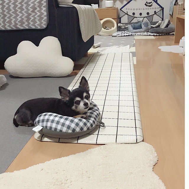 Emiさんの実例写真
