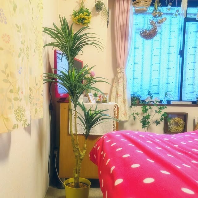 harumoeさんの実例写真