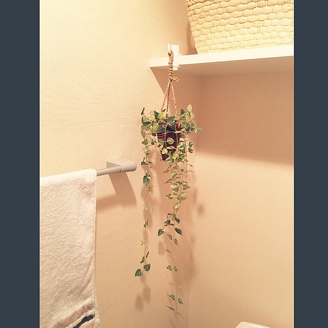 strawberrytigerさんの実例写真