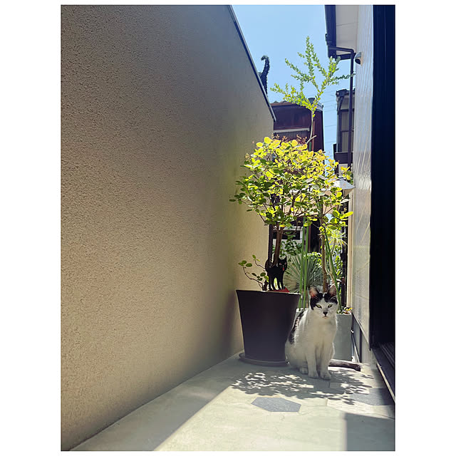 BTGさんの部屋