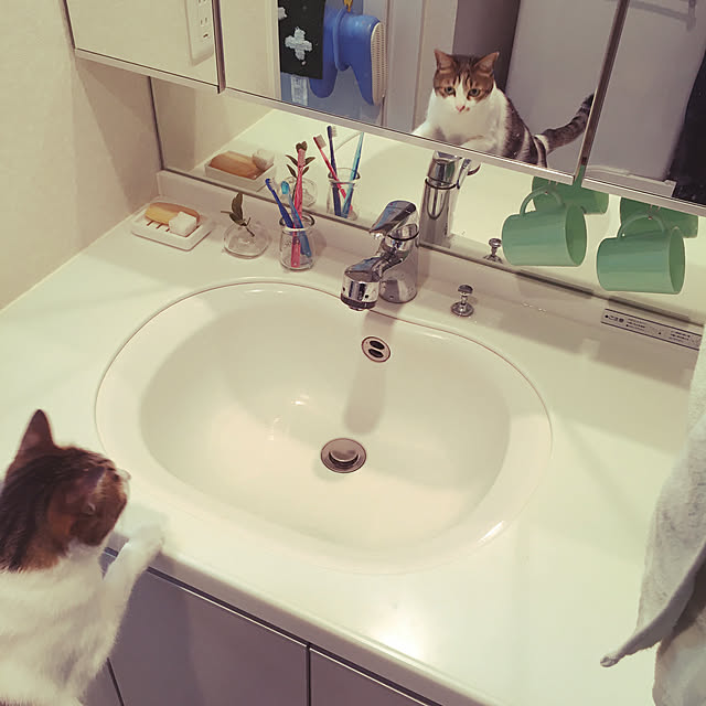 aiiaさんの実例写真