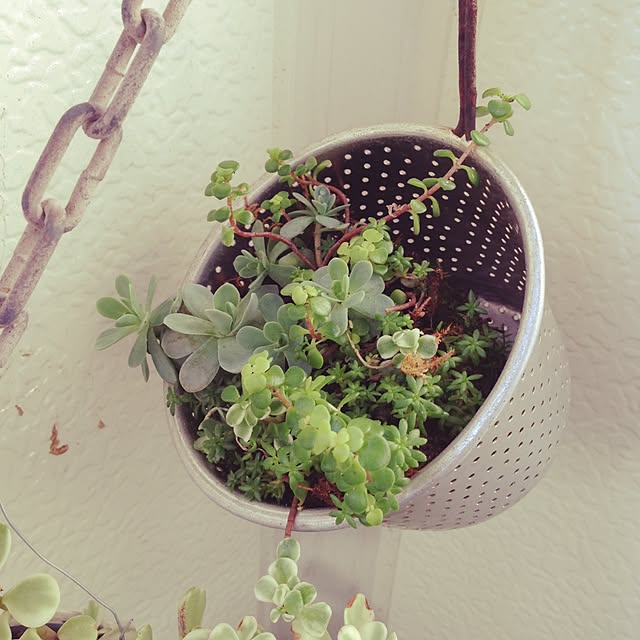 greenmenさんの実例写真