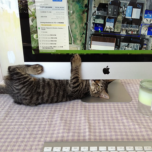 weさんの実例写真