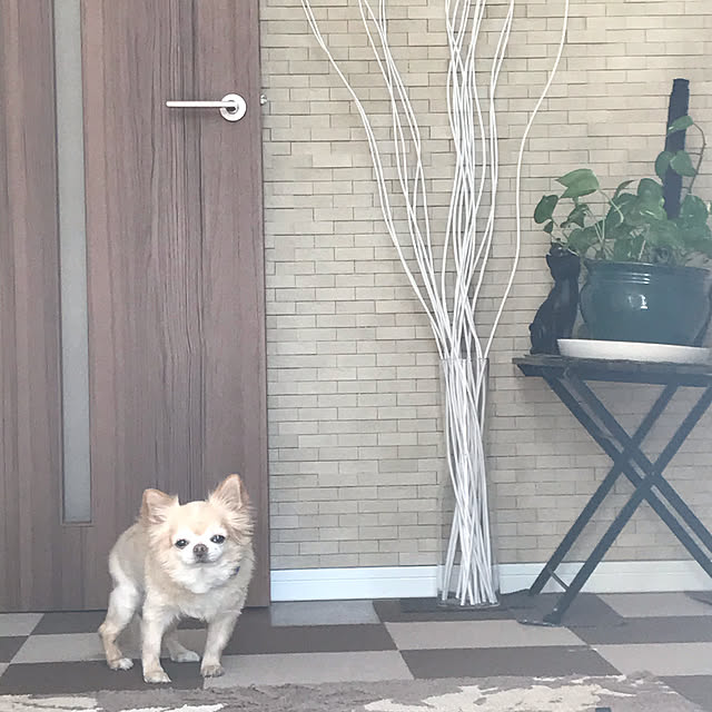 MIUさんの実例写真