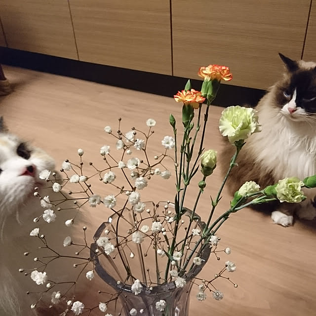 yuさんの実例写真