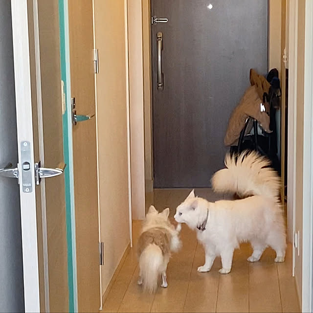 Lionaさんの実例写真