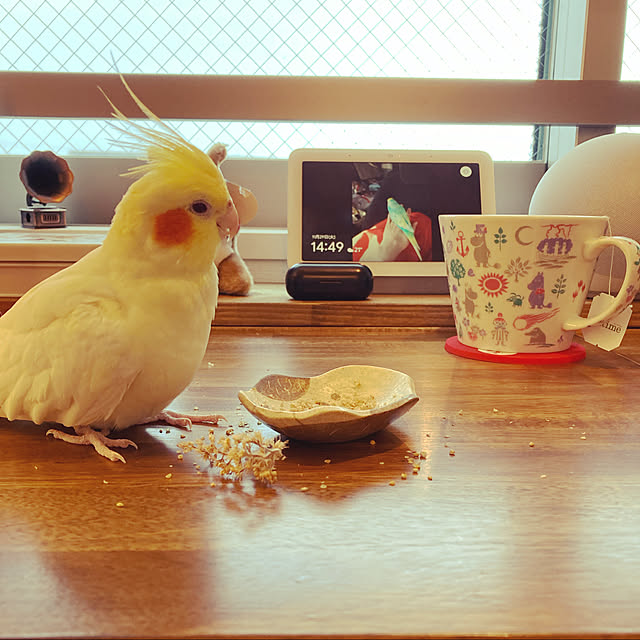 chicomaruさんの実例写真