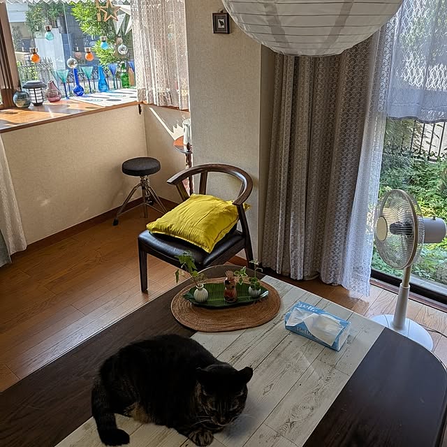 Mayumi8888さんの実例写真