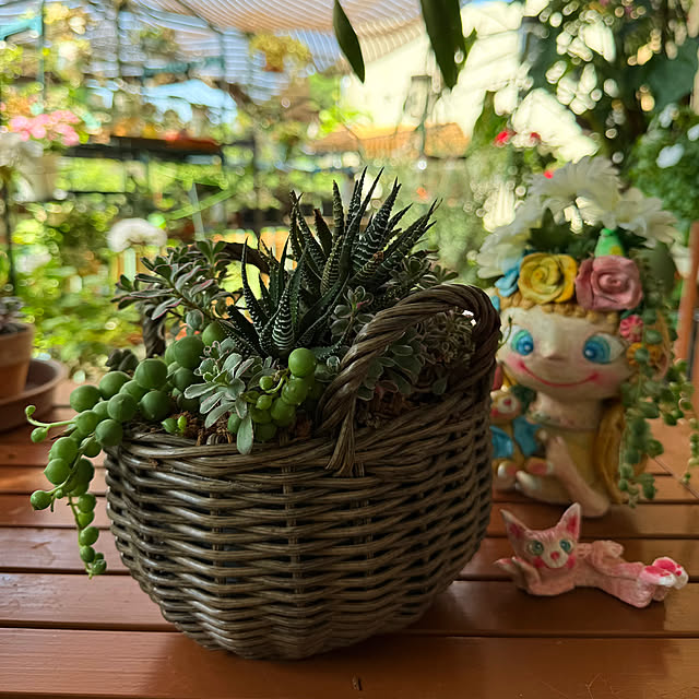 Aqettyさんの部屋