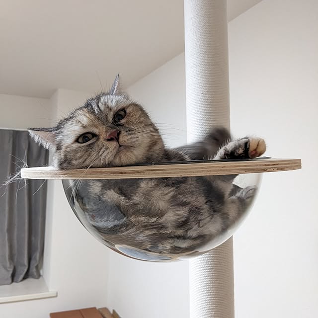 shioさんの実例写真